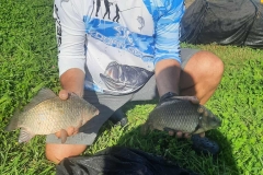 52