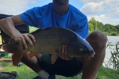 23